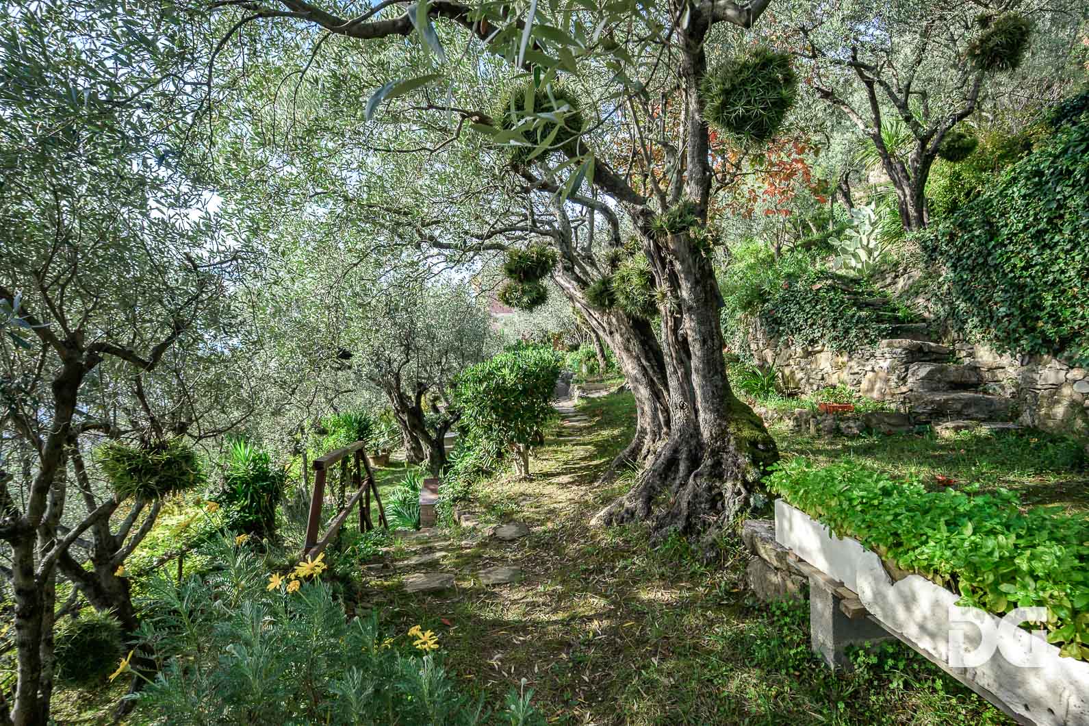 Immobiliare Del Guasta BOGLIASCO – PANORAMICI MQ 70 CON GIARDINO E TERRAZZO 