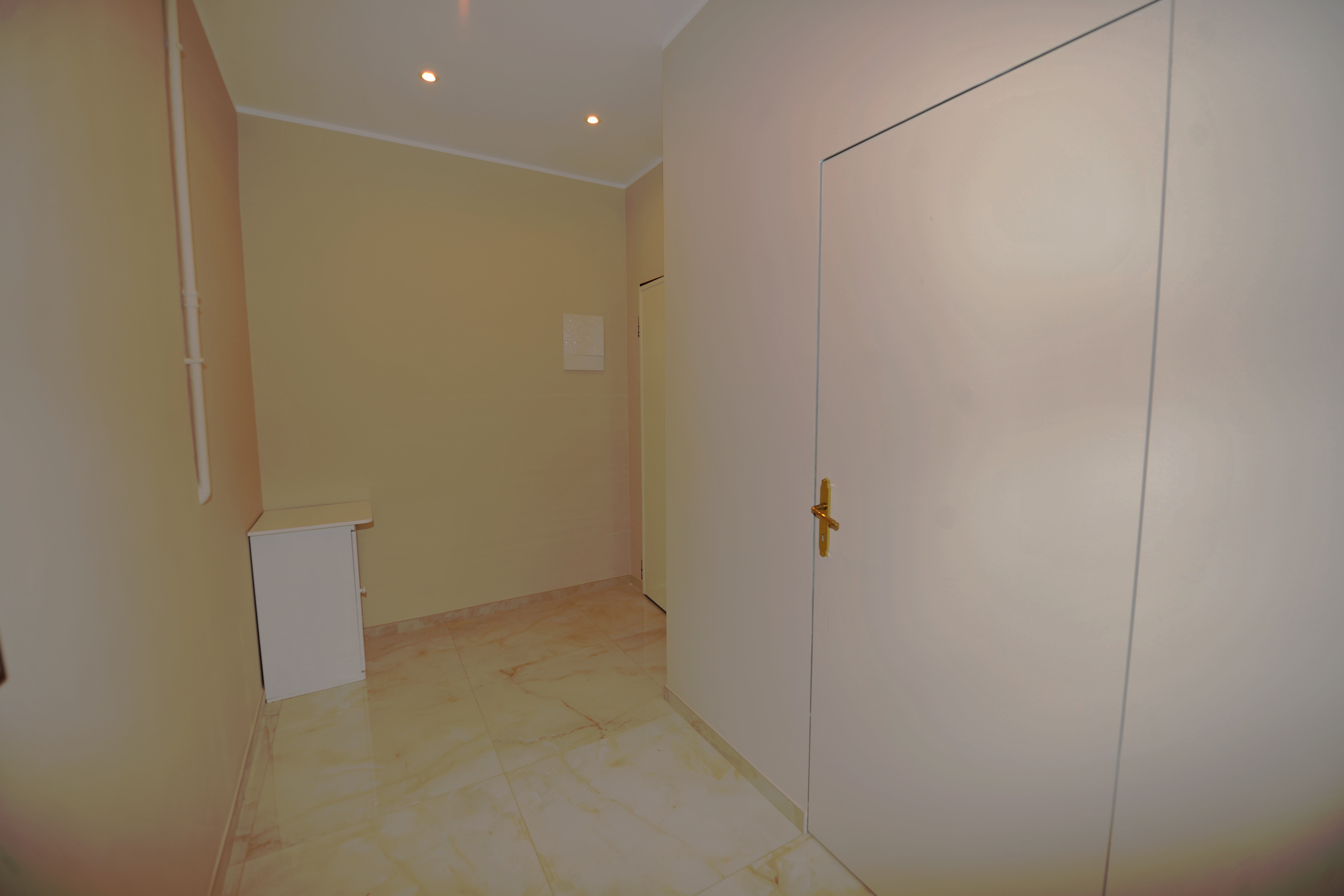 Immobiliare Del Guasta PIAZZA MANIN – RISTRUTTURATI MQ. 145 PENULTIMO PIANO 